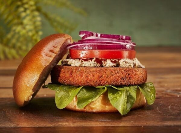 Hamburguer - Image 4